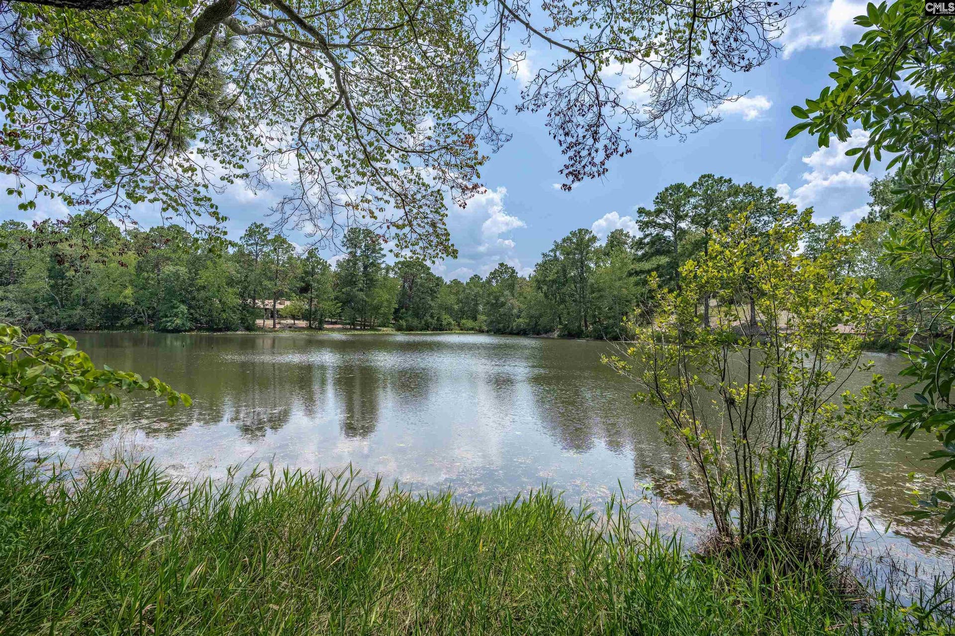 112 Crestline Drive, West Columbia, SC 29170-4205