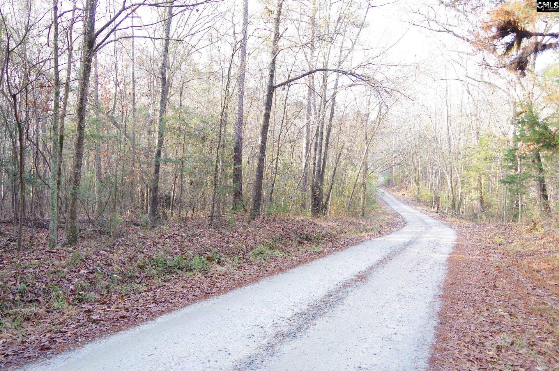 133 archway Court, Little Mountain, SC 29075