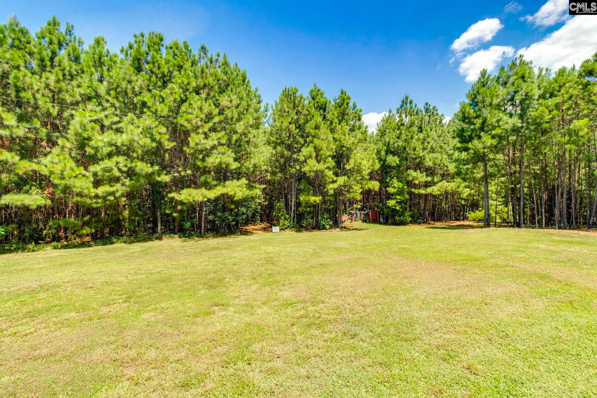 1242 OLD DOUGLAS Road, Winnsboro, SC 29180