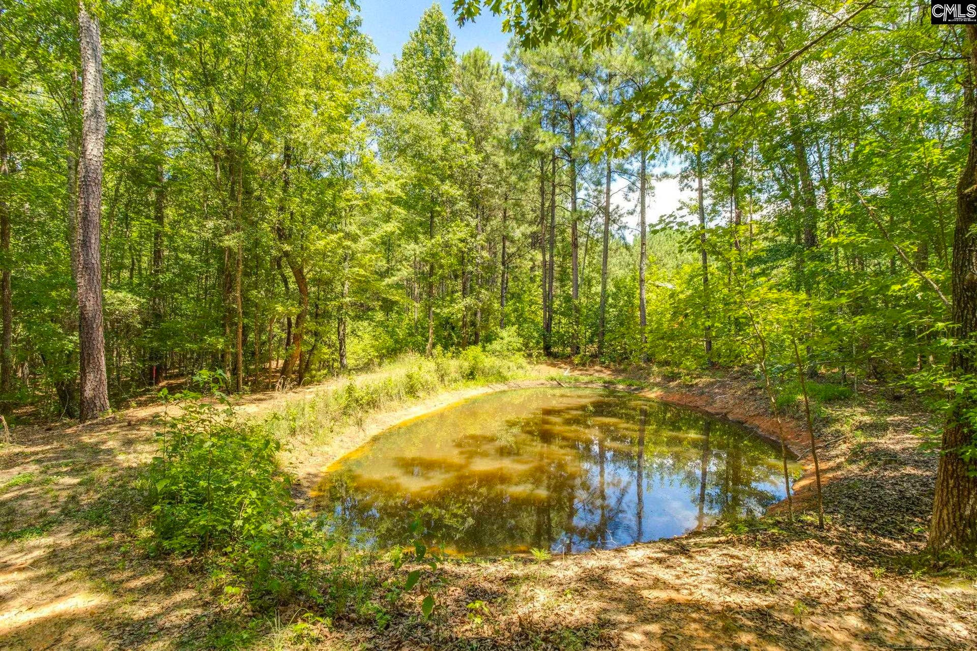 1242 OLD DOUGLAS Road, Winnsboro, SC 29180
