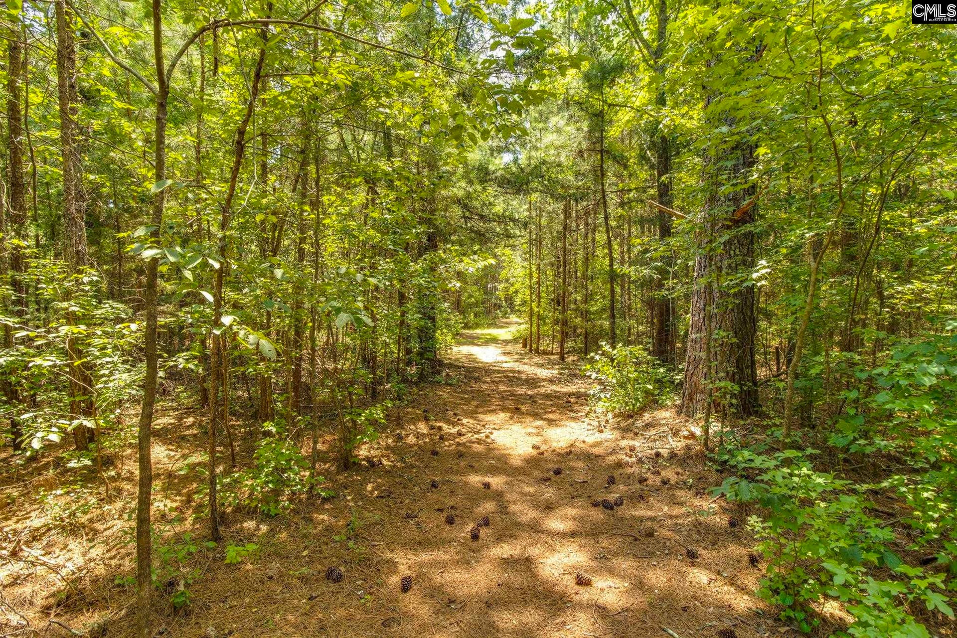 1242 OLD DOUGLAS Road, Winnsboro, SC 29180