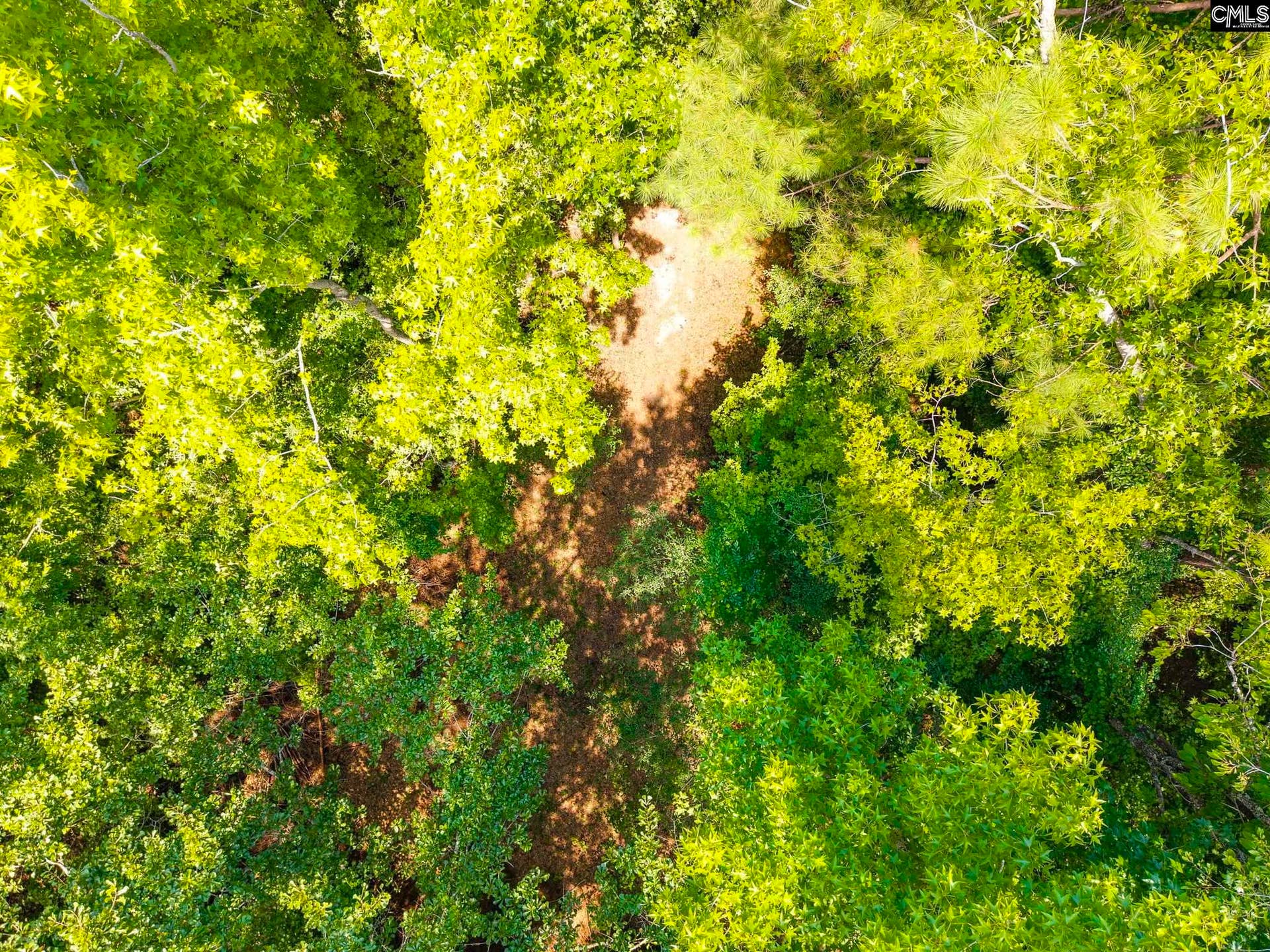 1242 OLD DOUGLAS Road, Winnsboro, SC 29180