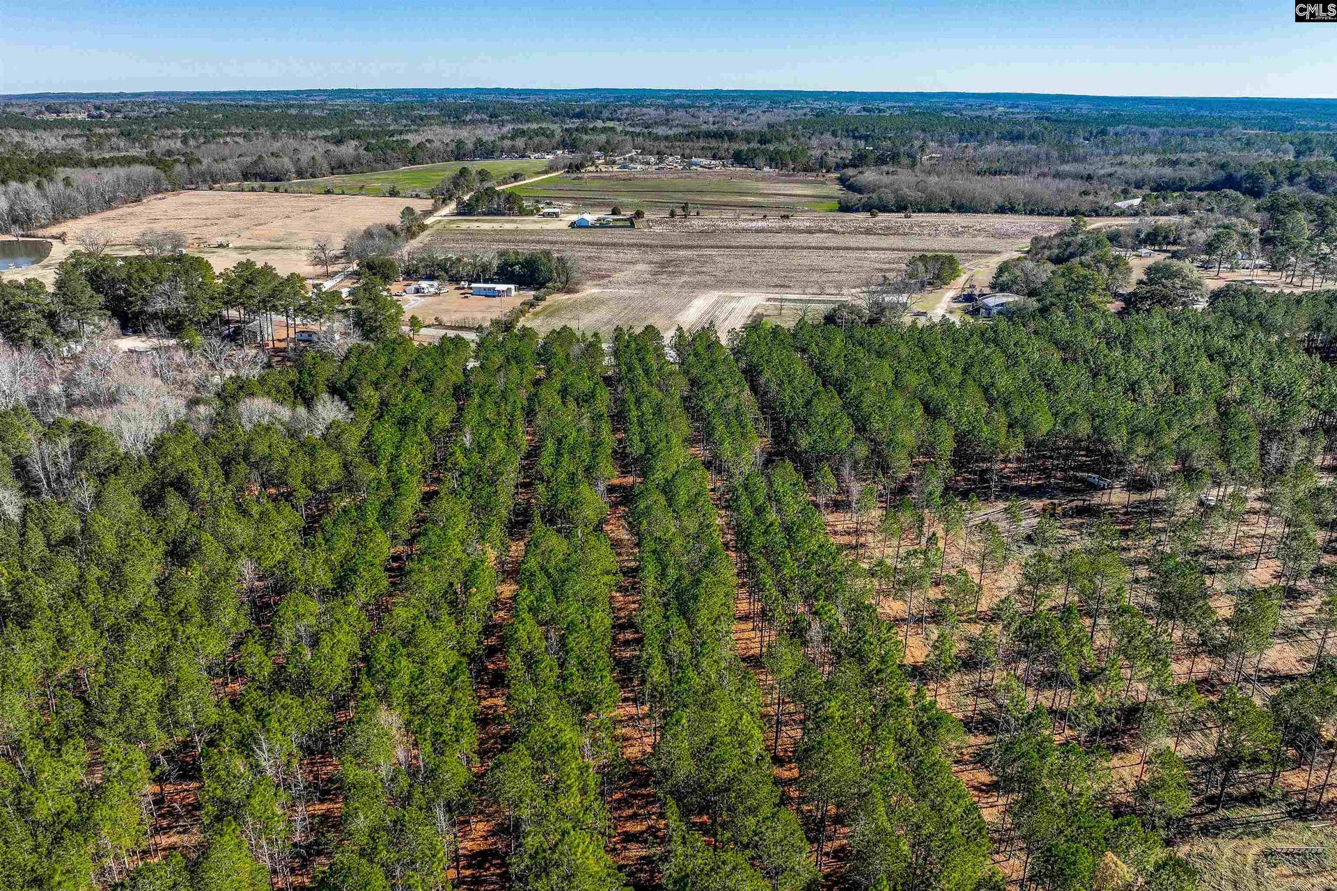 Lot #1 Fairview Road, #008200-07-010, Batesburg, SC 29006
