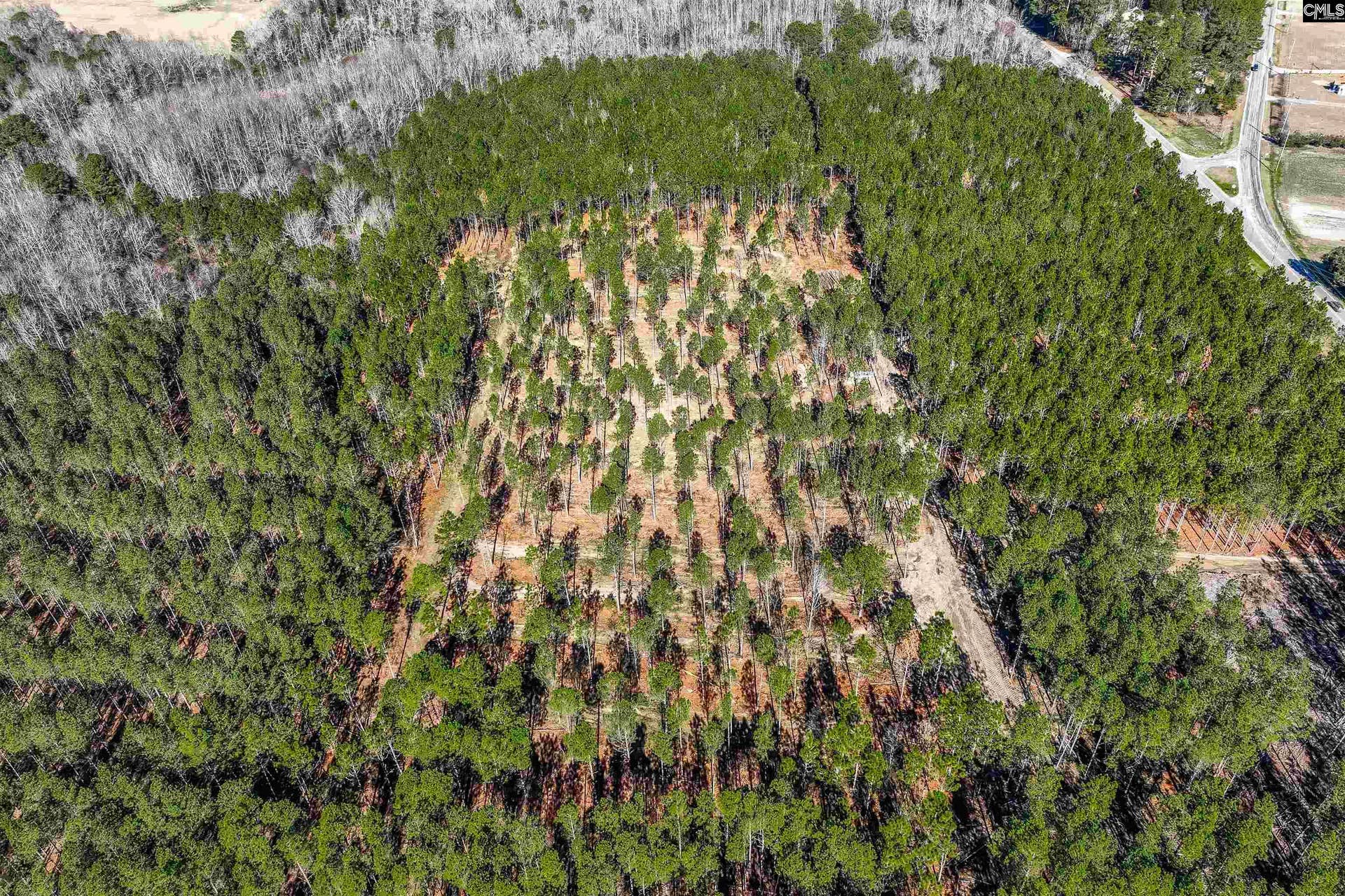 Lot #1 Fairview Road, #008200-07-010, Batesburg, SC 29006