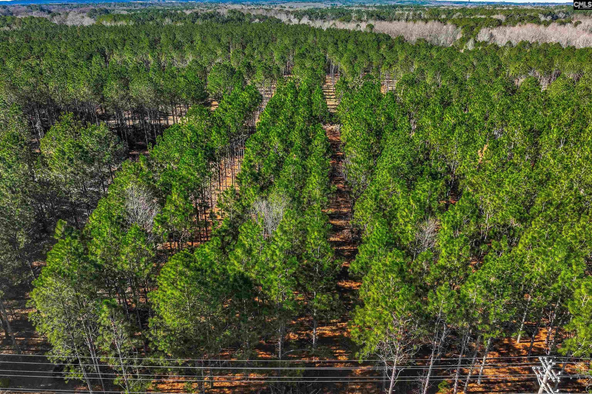 Lot 2 Fairview Road, #008200-07-010, Batesburg, SC 29006