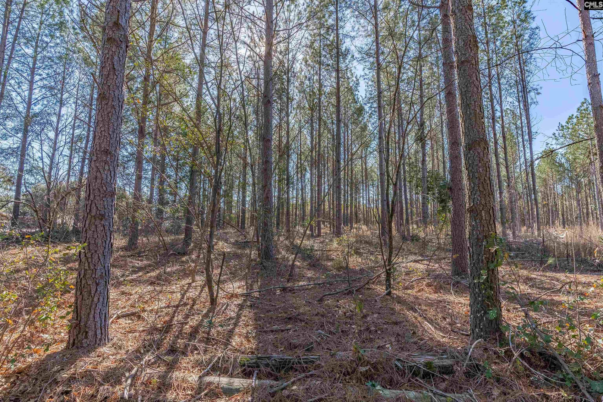 Lot 3 Fairview Road, #008200-07-010, Batesburg, SC 29006