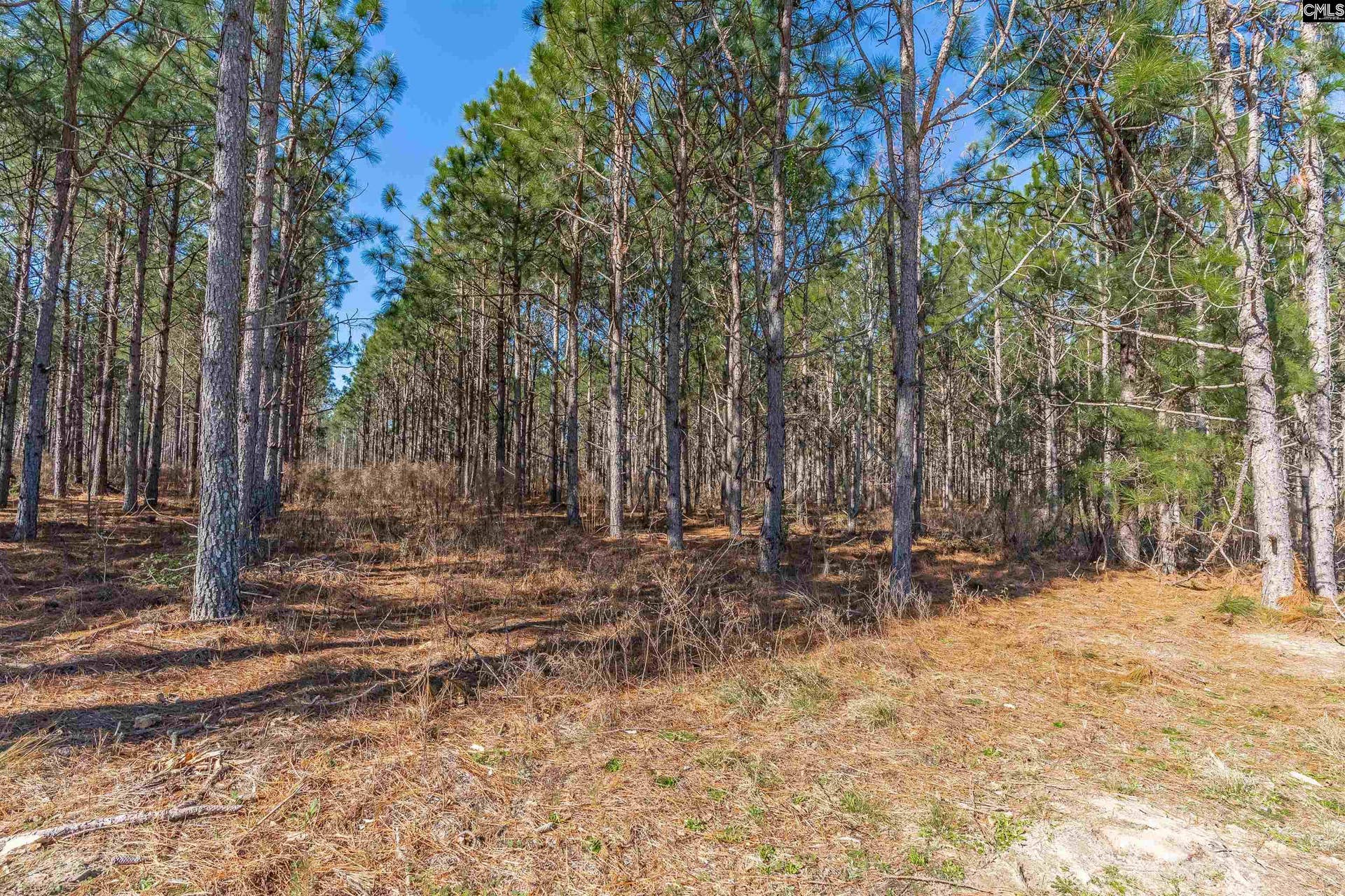Lot #4 Fairview Road, #008200-07-010, Batesburg, SC 29006