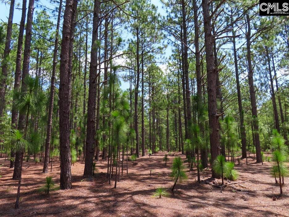 3915 Old Georgetown Road W, Kershaw, SC 29067