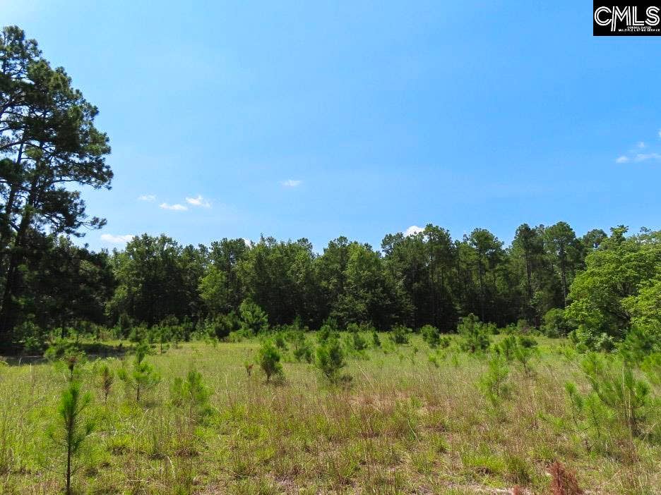 3915 Old Georgetown Road W, Kershaw, SC 29067