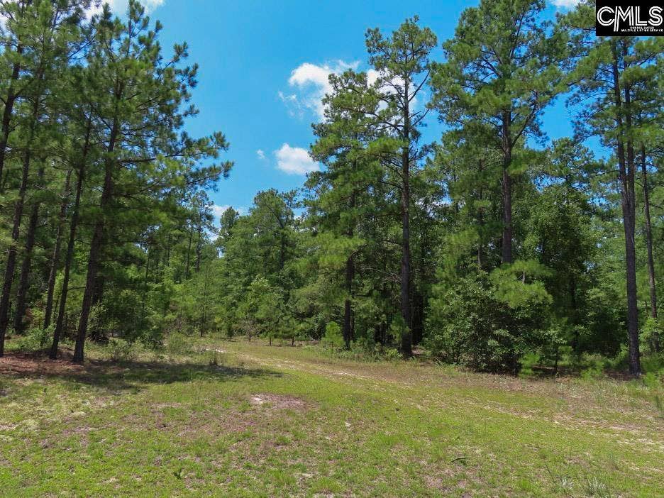 3915 Old Georgetown Road W, Kershaw, SC 29067