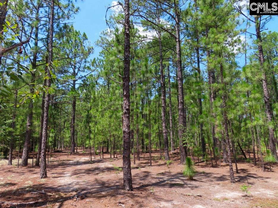 3915 Old Georgetown Road W, Kershaw, SC 29067