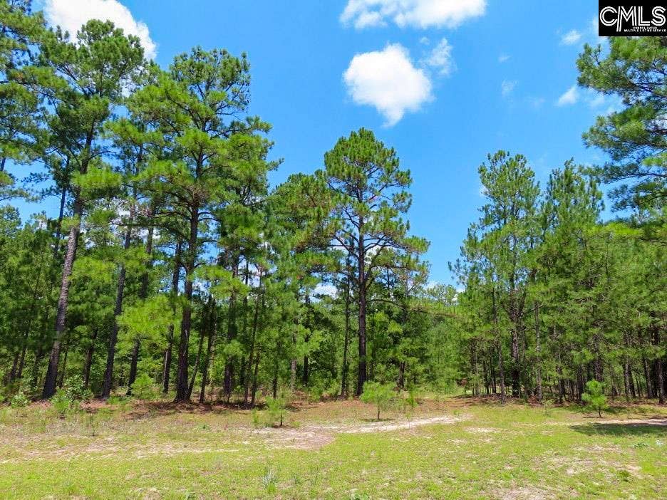 3915 Old Georgetown Road W, Kershaw, SC 29067