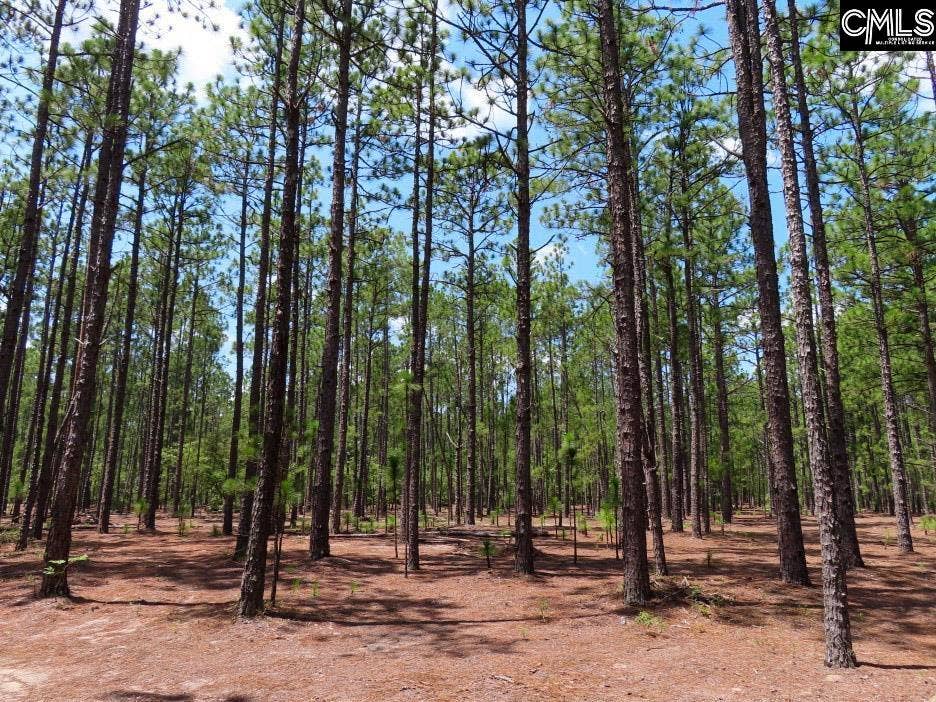 3915 Old Georgetown Road W, Kershaw, SC 29067