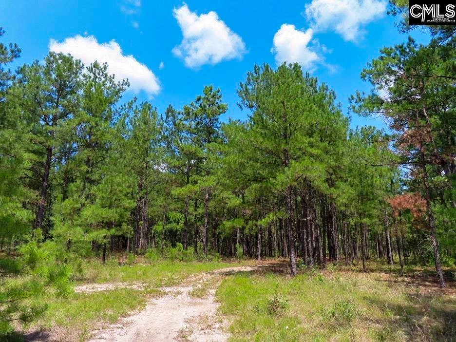 3915 Old Georgetown Road W, Kershaw, SC 29067