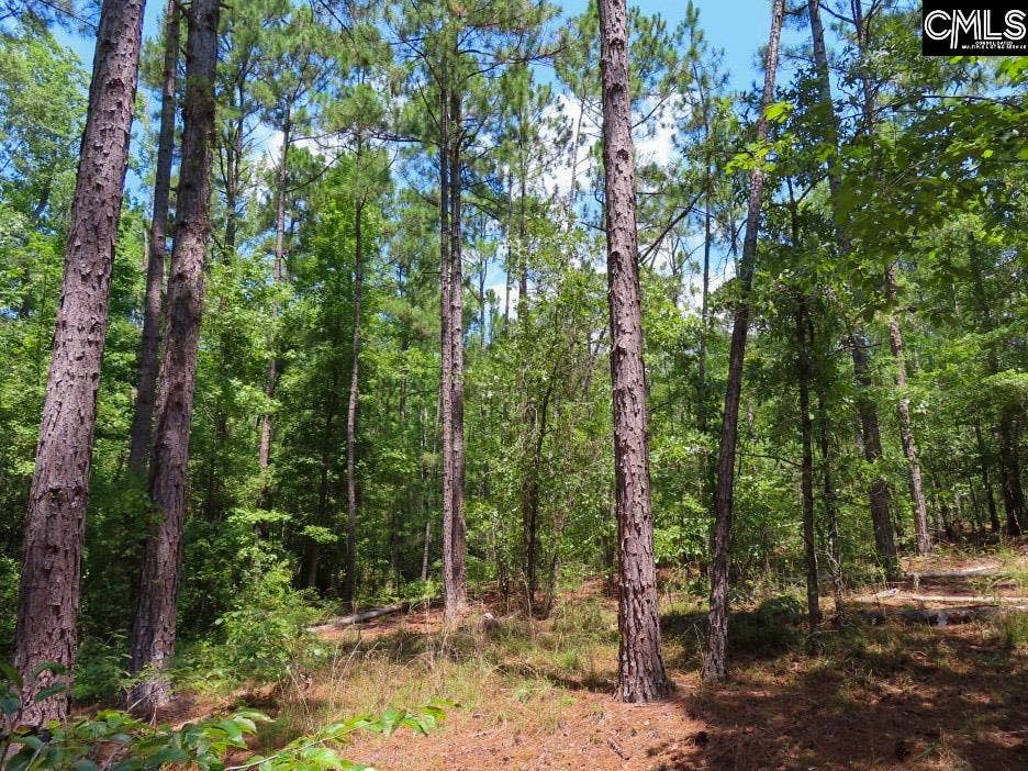 3915 Old Georgetown Road W, Kershaw, SC 29067