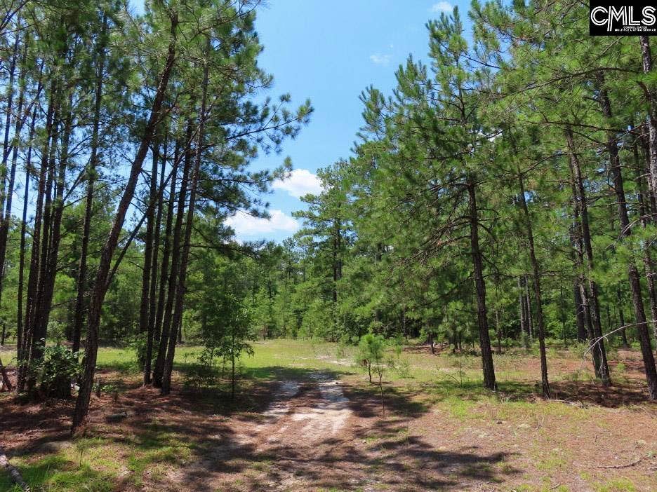 3915 Old Georgetown Road W, Kershaw, SC 29067