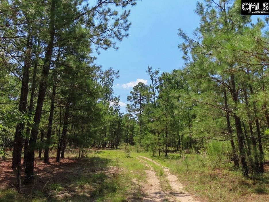 3915 Old Georgetown Road W, Kershaw, SC 29067