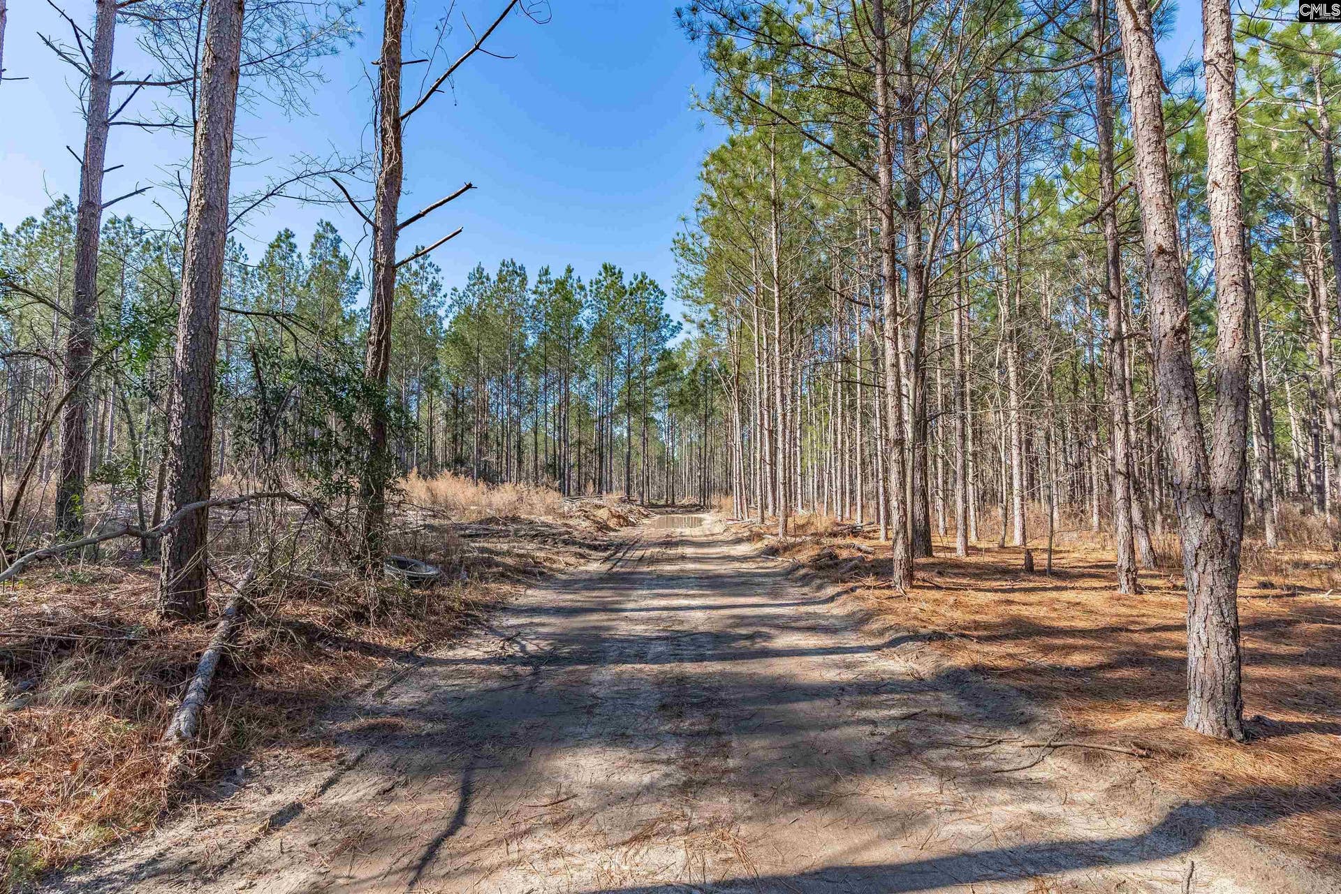 Lot #5 Fairview Road, #008200-07-010, Batesburg, SC 29006