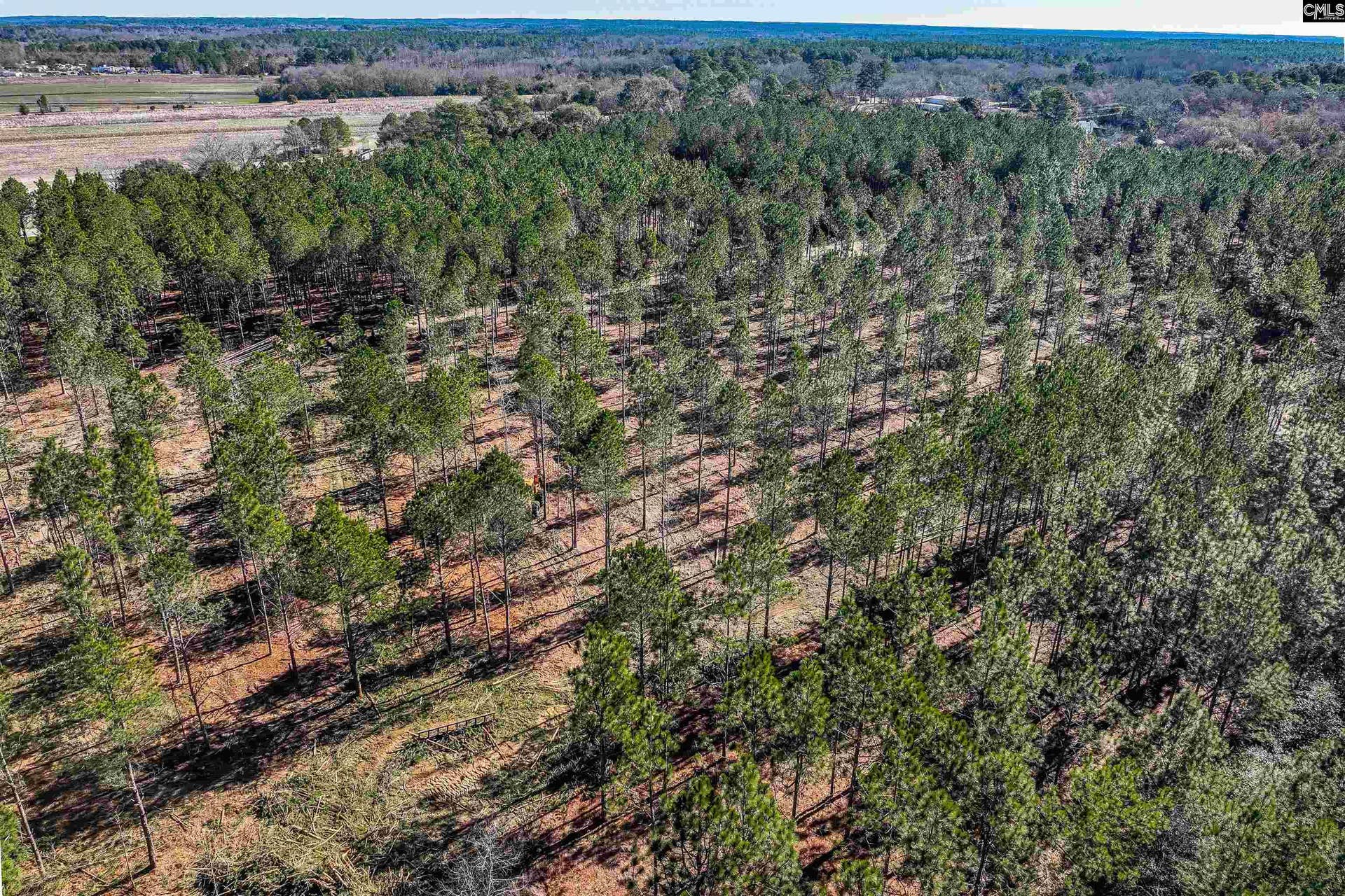 Lot #5 Fairview Road, #008200-07-010, Batesburg, SC 29006