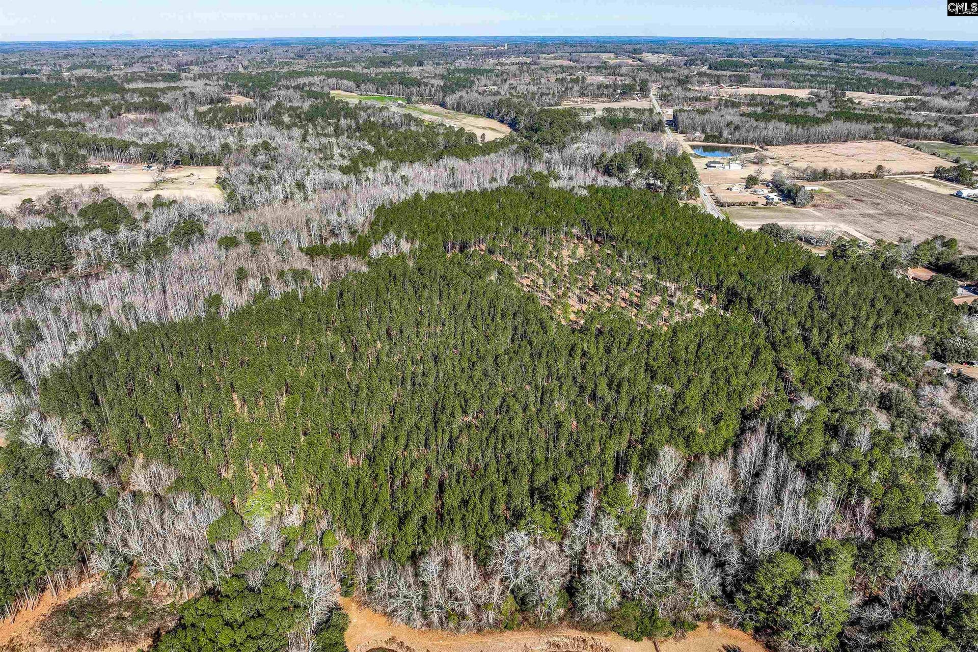 Lot #6 Fairview Road, #008200-07-010, Batesburg, SC 29006