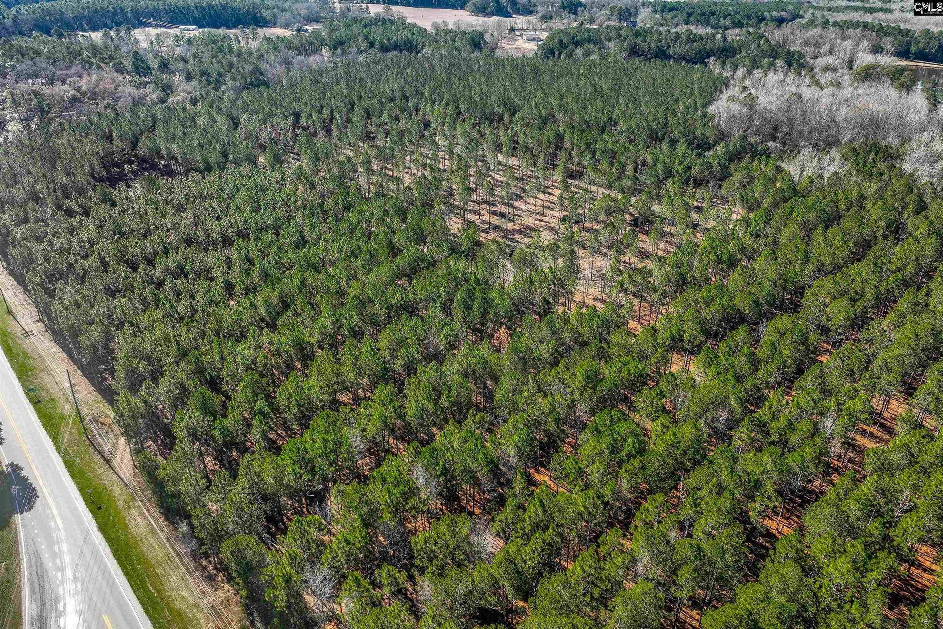 Lot #6 Fairview Road, #008200-07-010, Batesburg, SC 29006