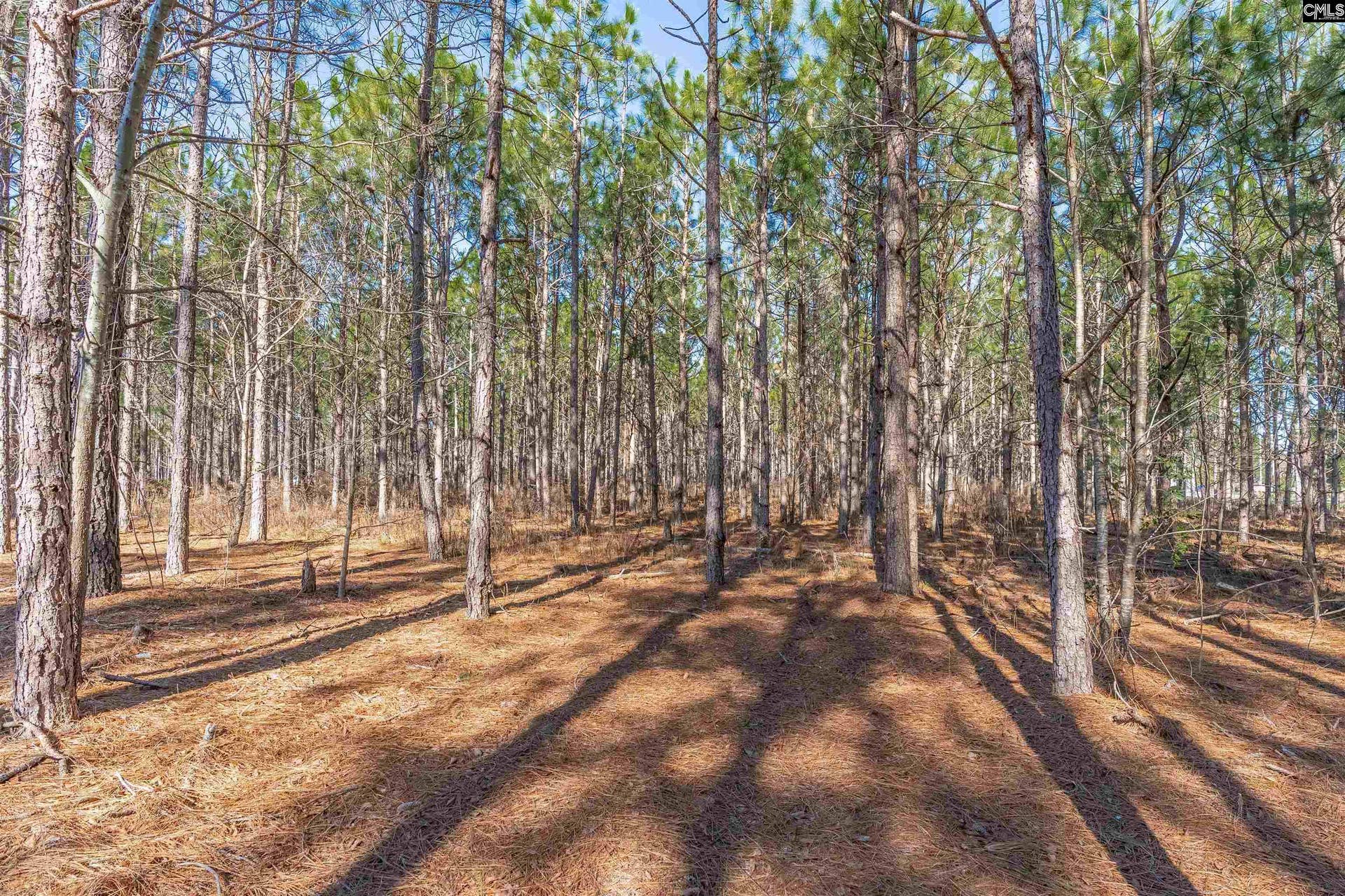 Lot #6 Fairview Road, #008200-07-010, Batesburg, SC 29006