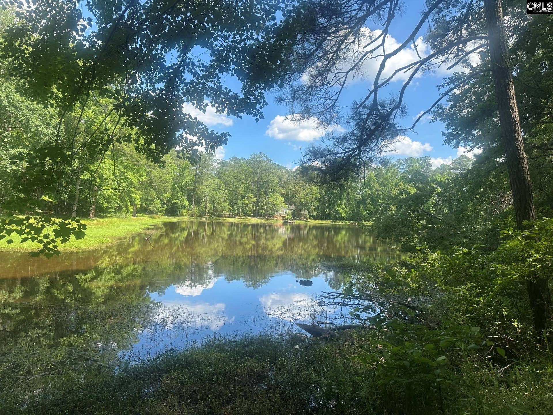 177 Albert Allen Road, Blythewood, SC 29203