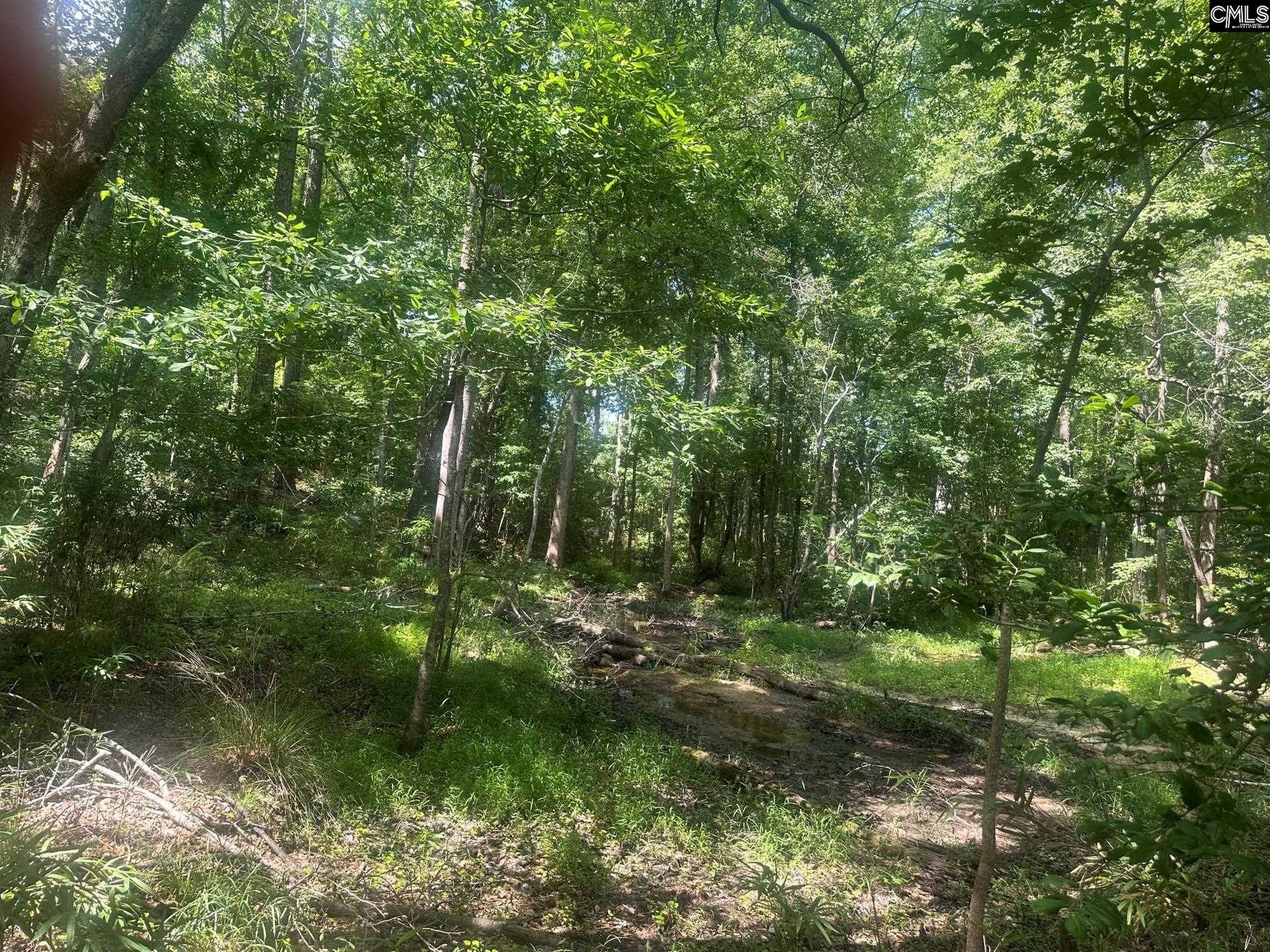 177 Albert Allen Road, Blythewood, SC 29203