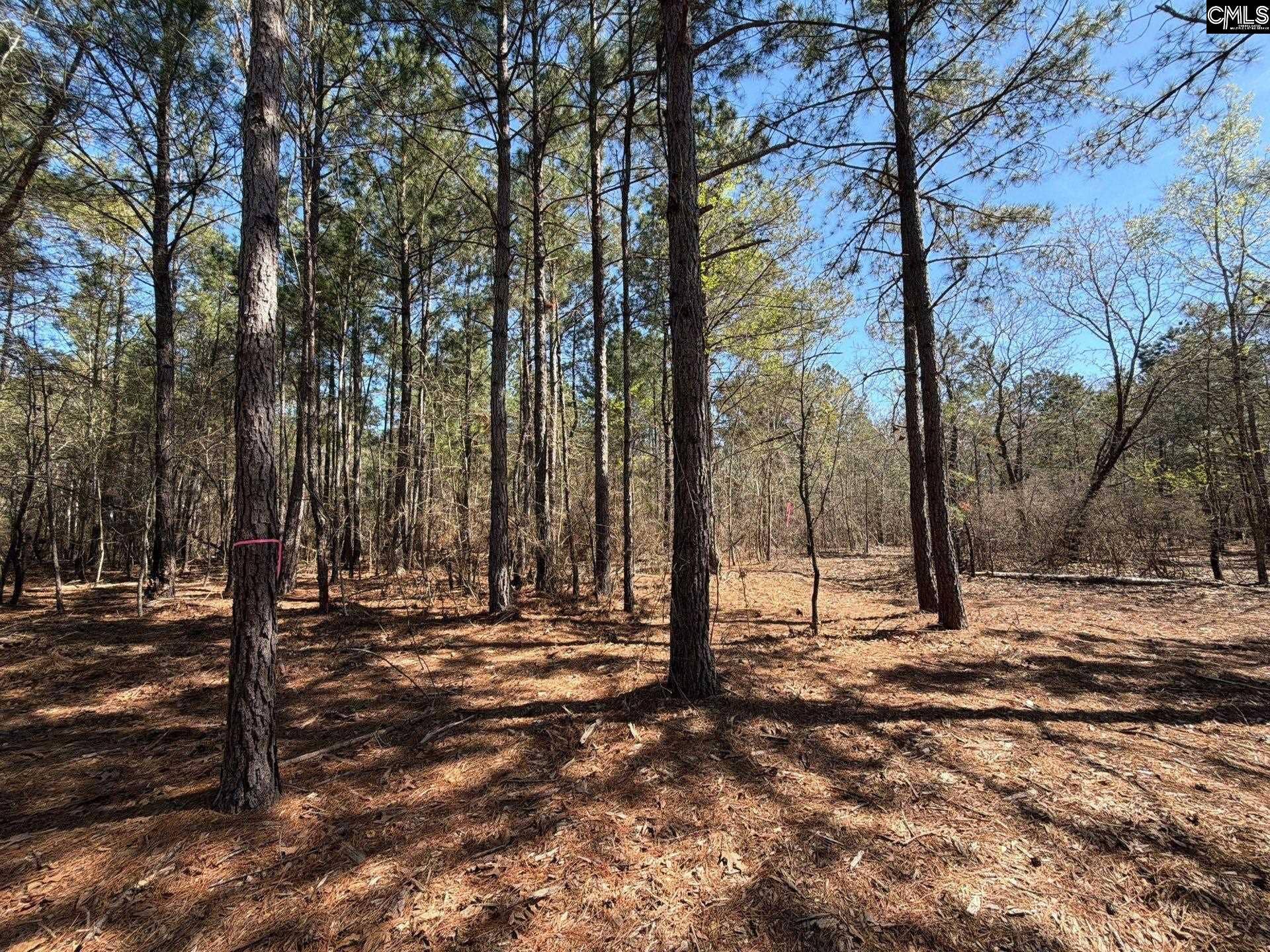 BHL 15 Boise Cascade Road, Bethune, SC 29009