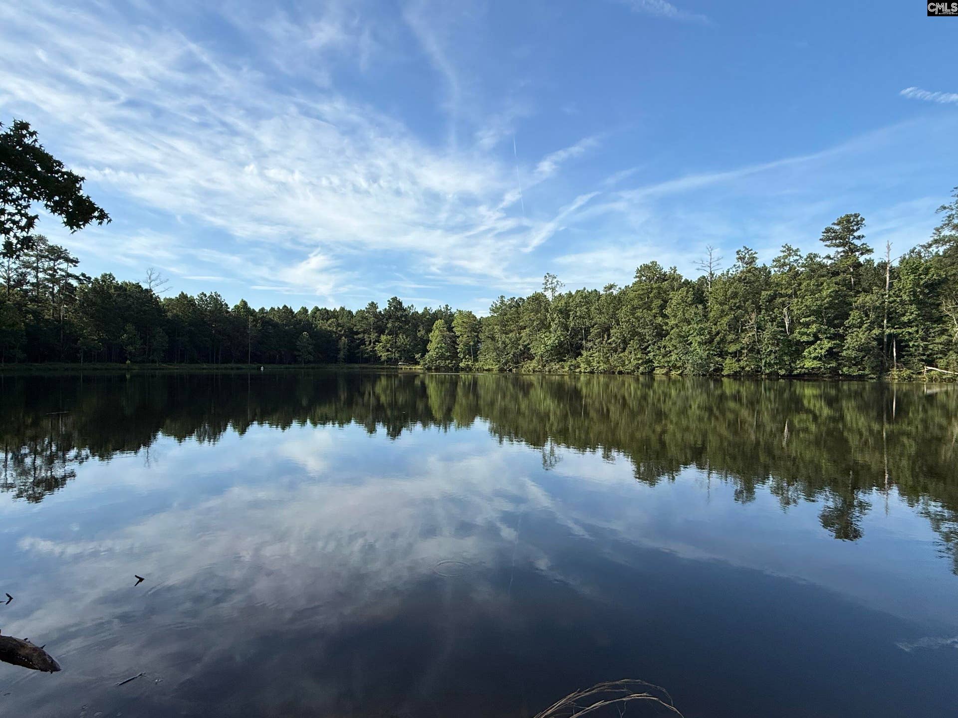 469 Brodie Road, Leesville, SC 29070