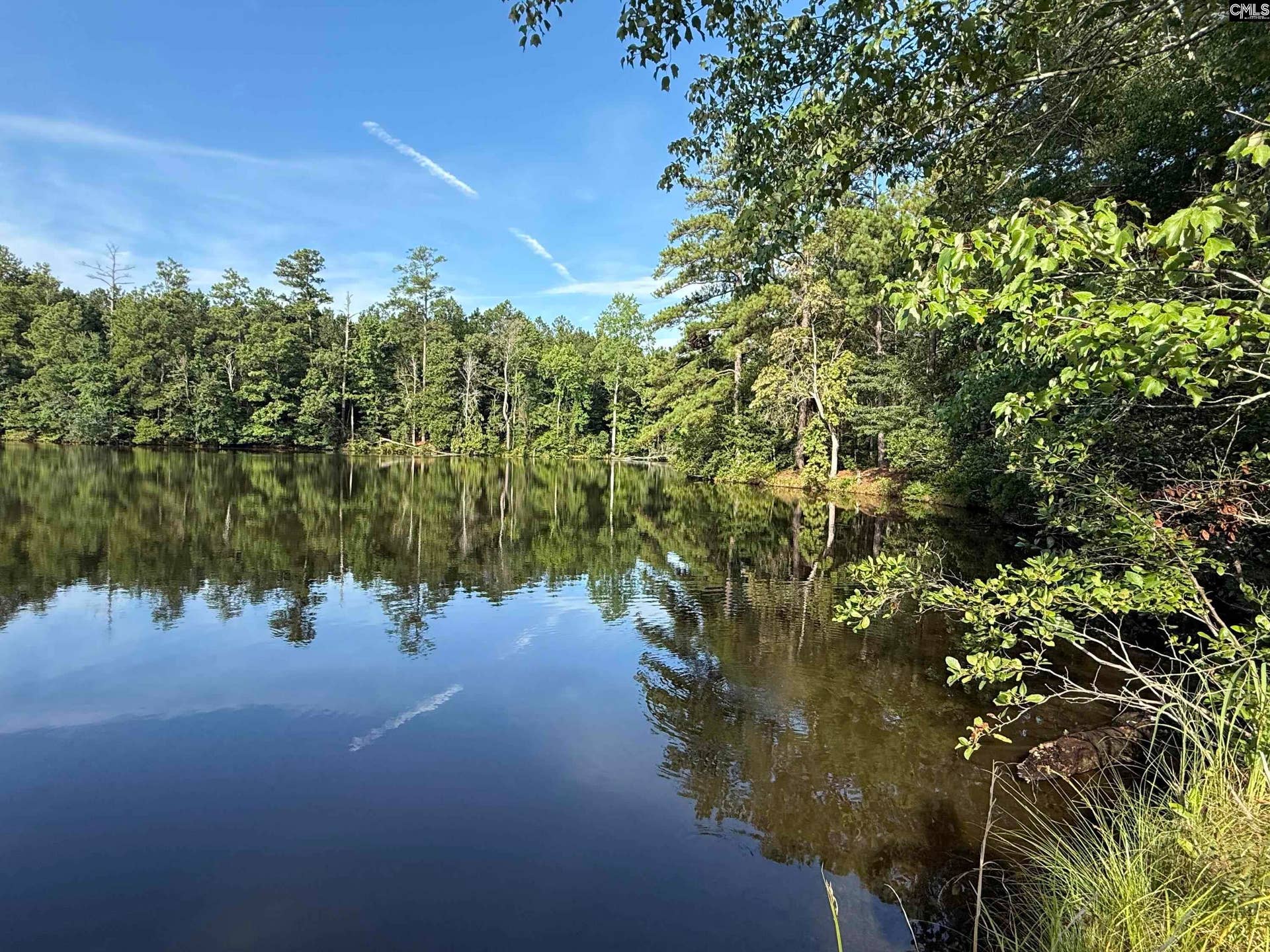 469 Brodie Road, Leesville, SC 29070