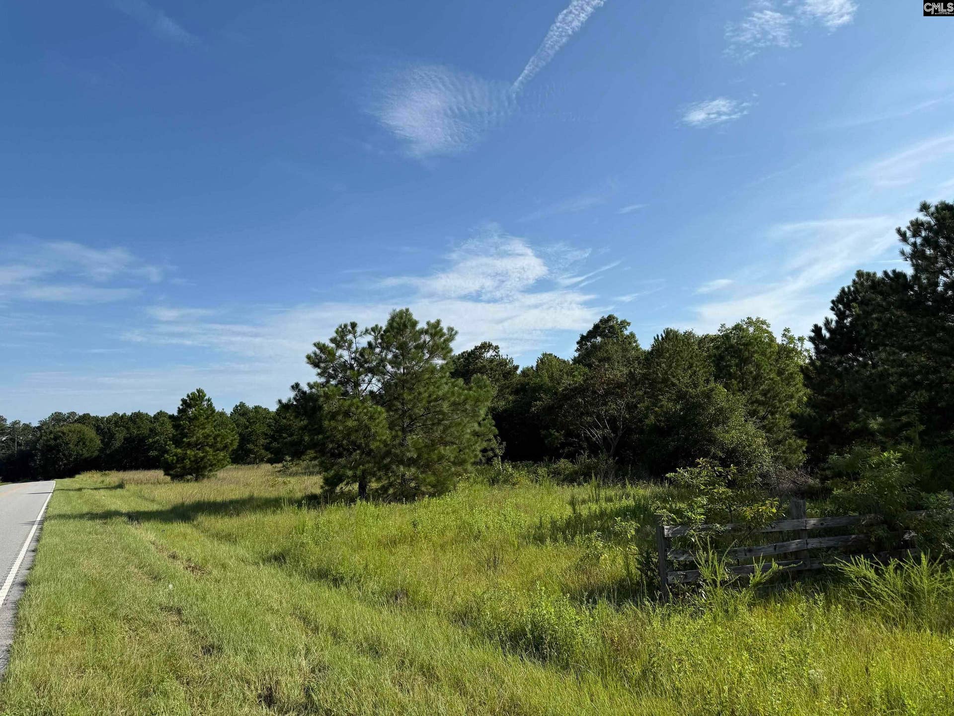 469 Brodie Road, Leesville, SC 29070