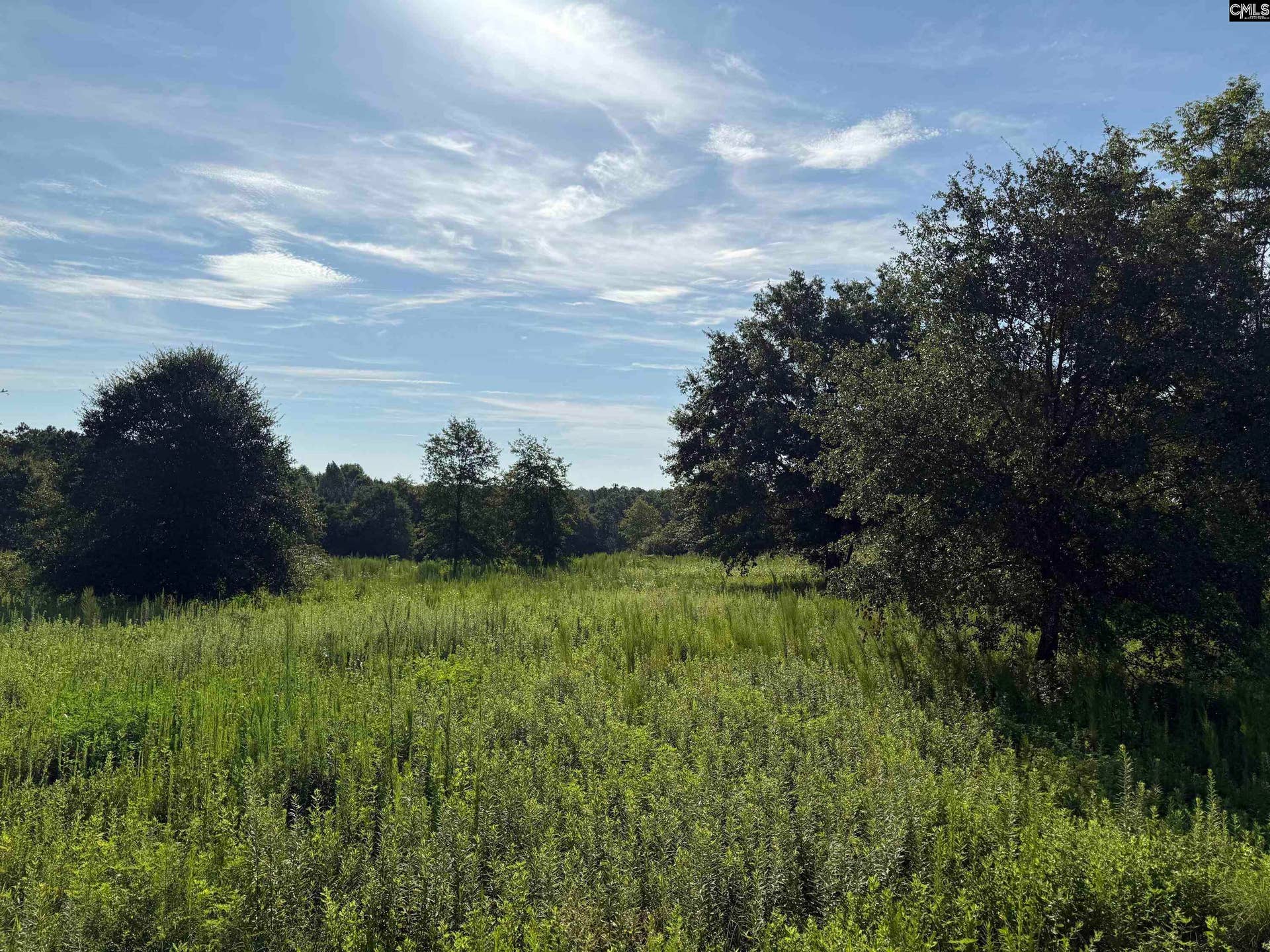 469 Brodie Road, Leesville, SC 29070