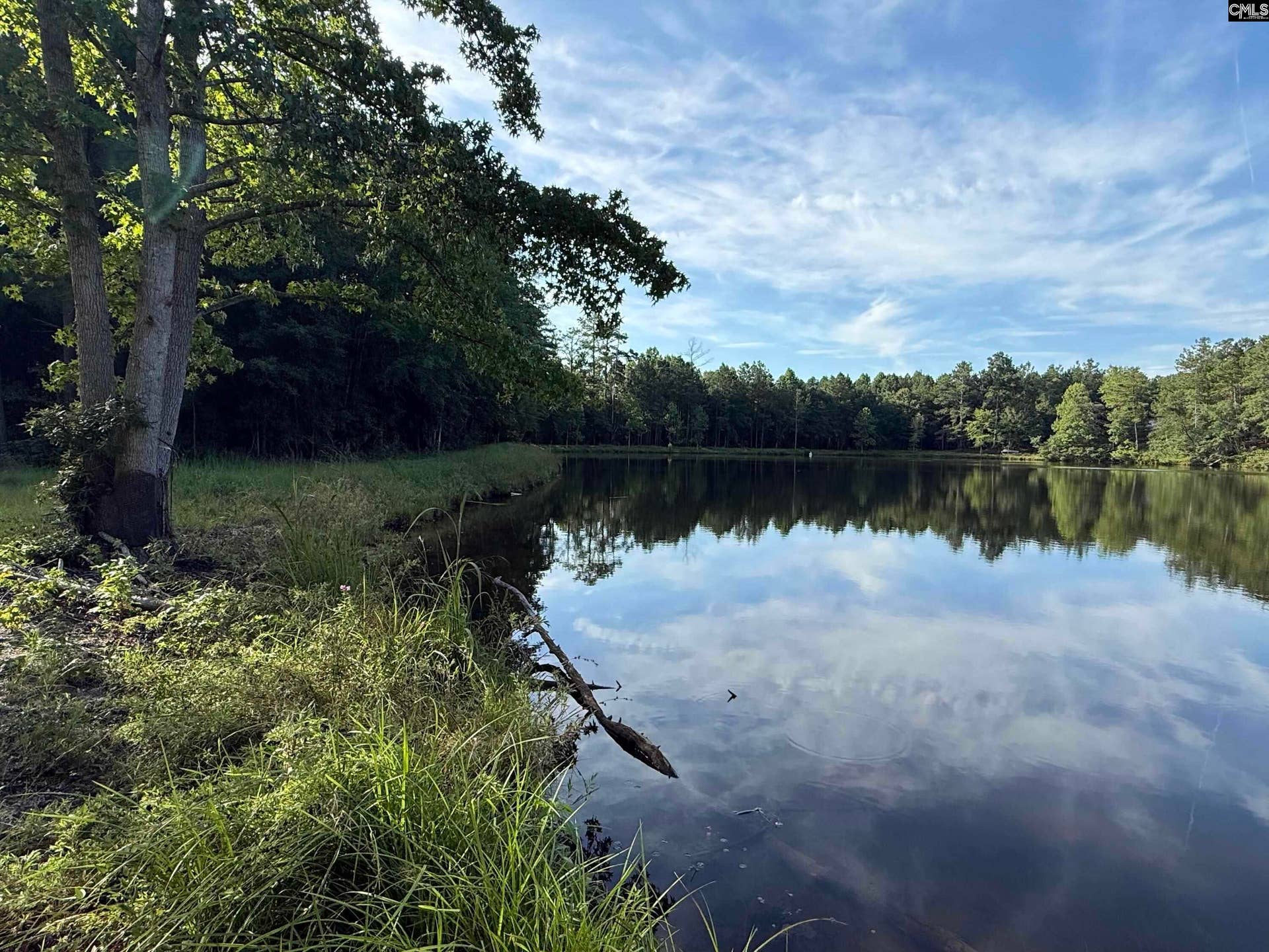 469 Brodie Road, Leesville, SC 29070