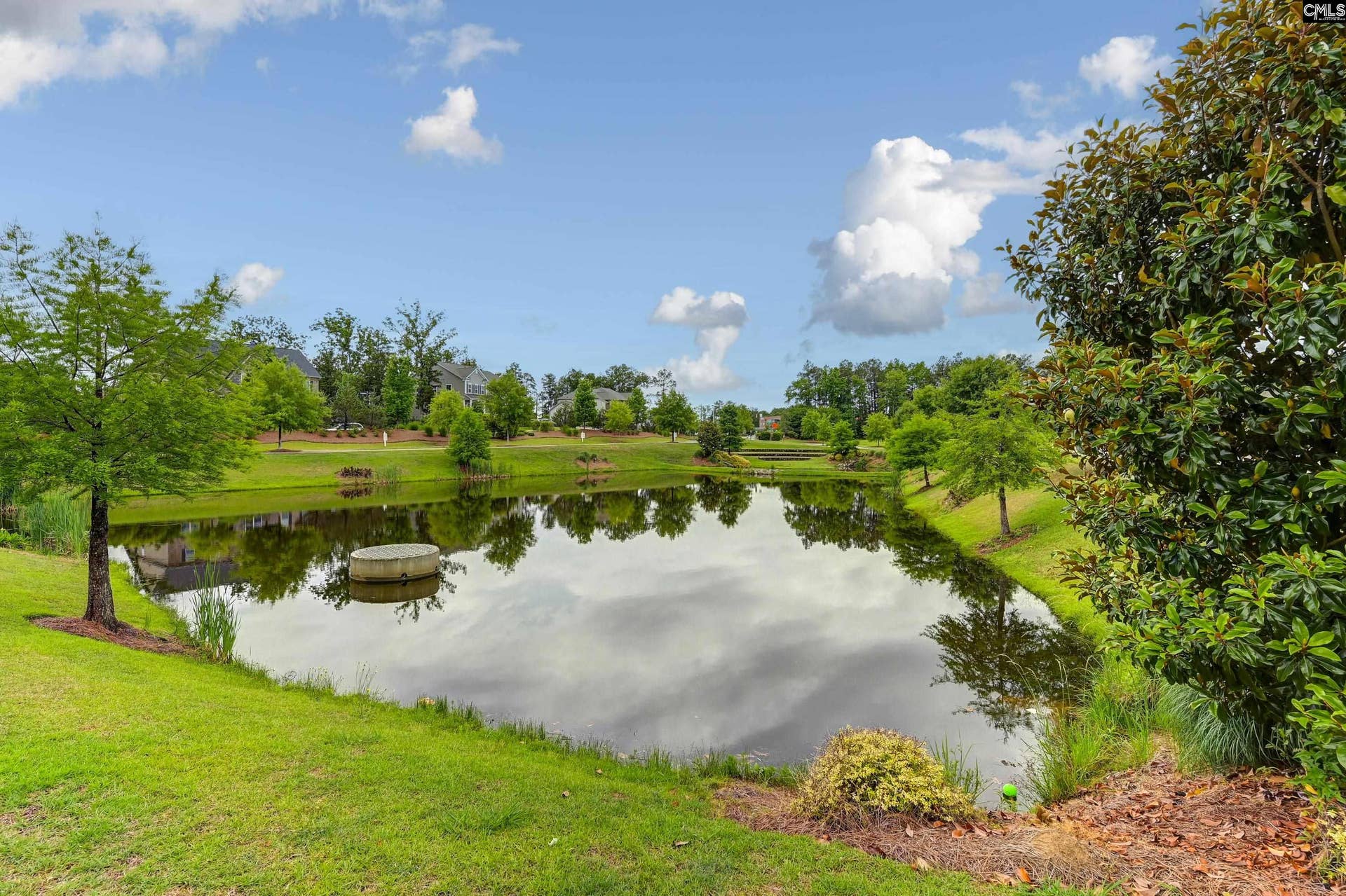 2286 Harvestwood Lane, Chapin, SC 29036