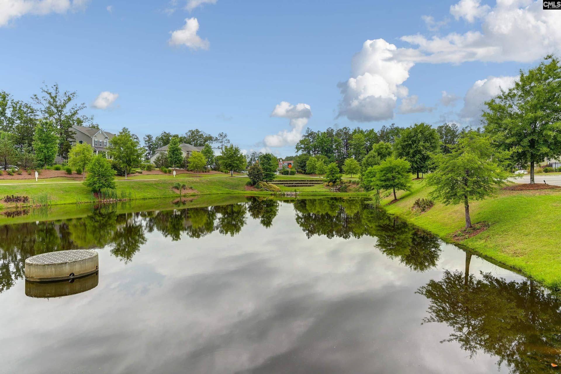 2286 Harvestwood Lane, Chapin, SC 29036