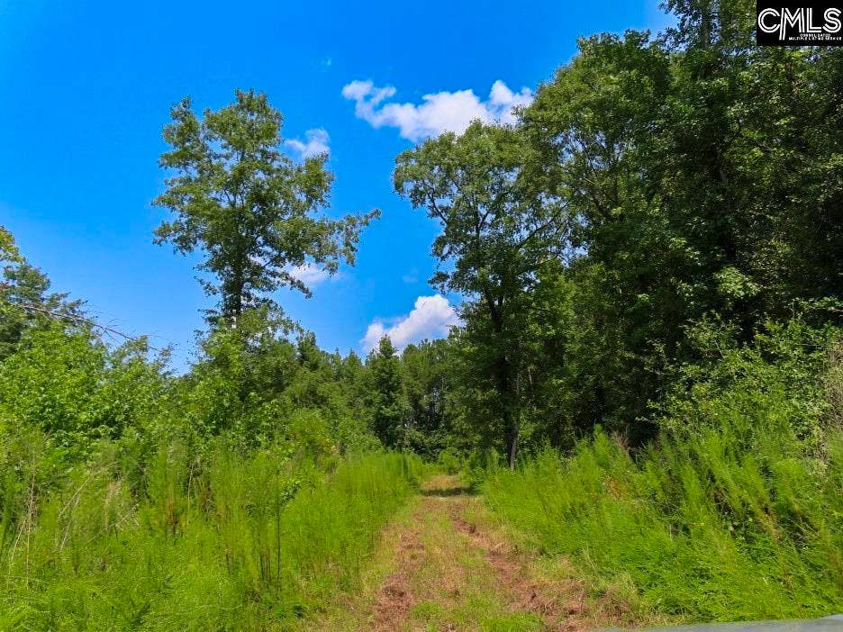 231 Ault Road, Hopkins, SC 29061