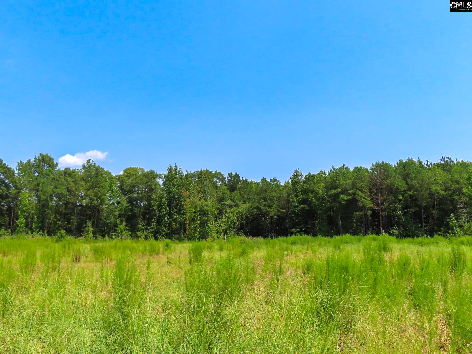 231 Ault Road, Hopkins, SC 29061