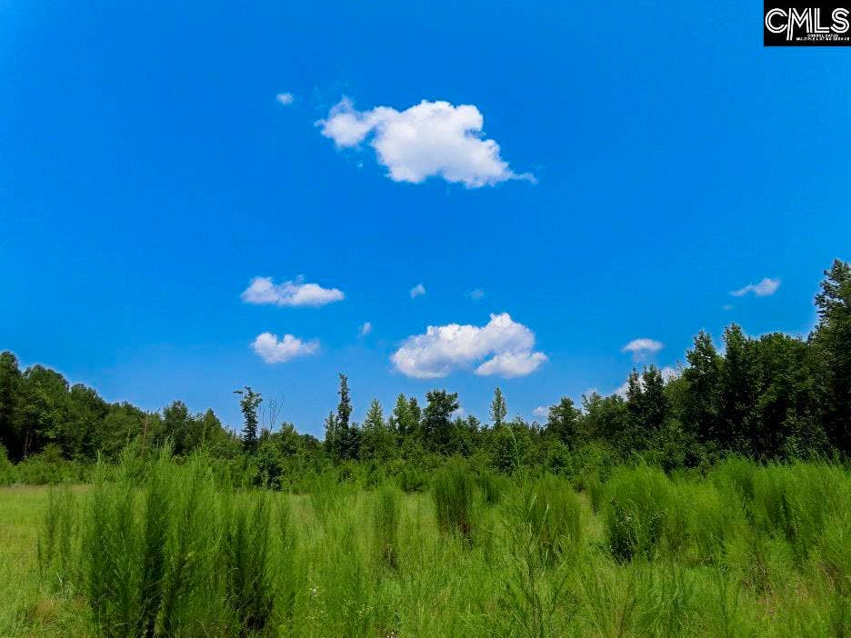231 Ault Road, Hopkins, SC 29061