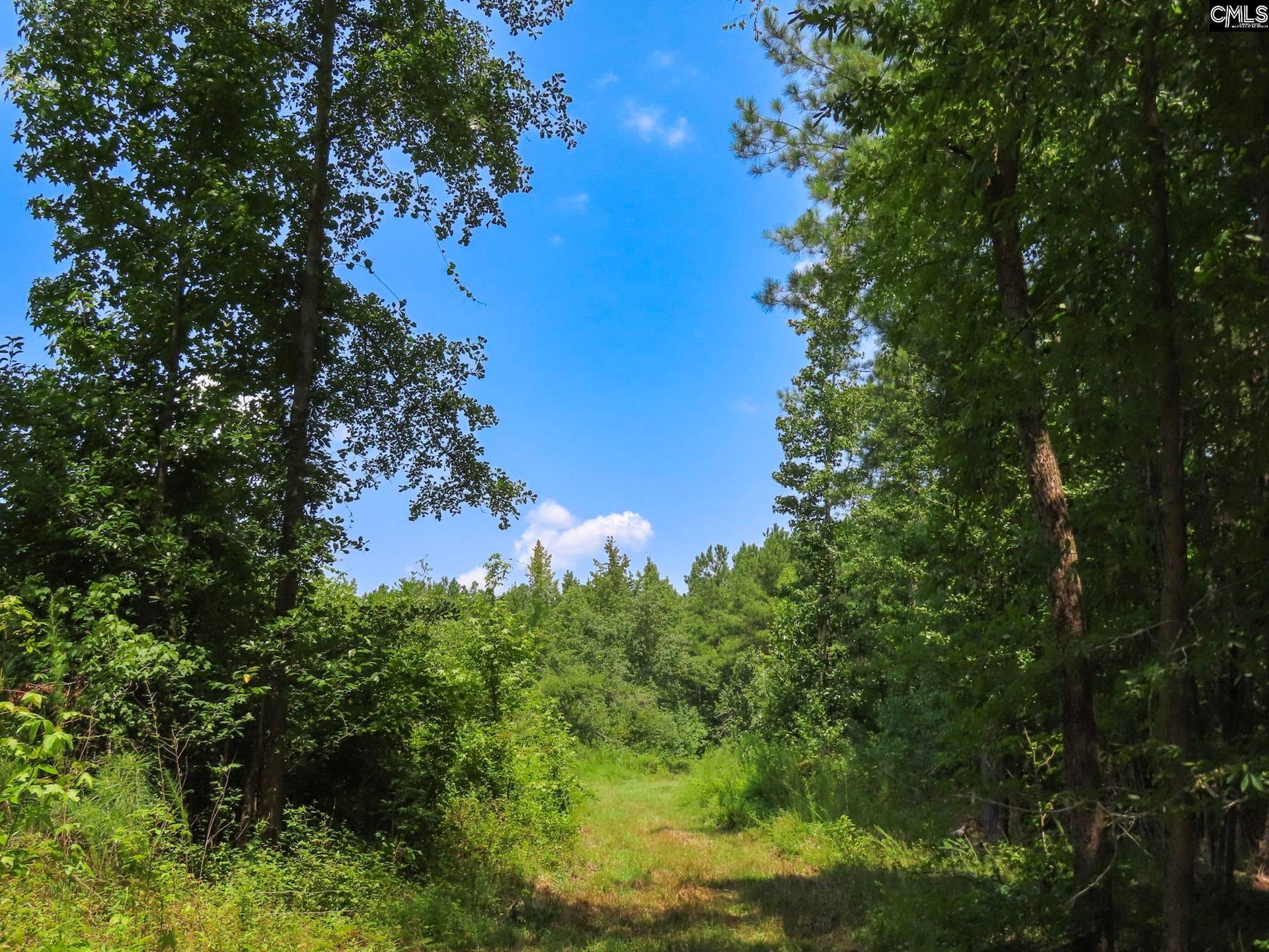 231 Ault Road, Hopkins, SC 29061