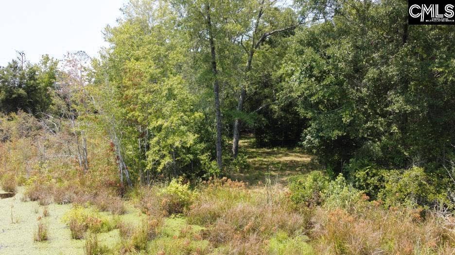 231 Ault Road, Hopkins, SC 29061