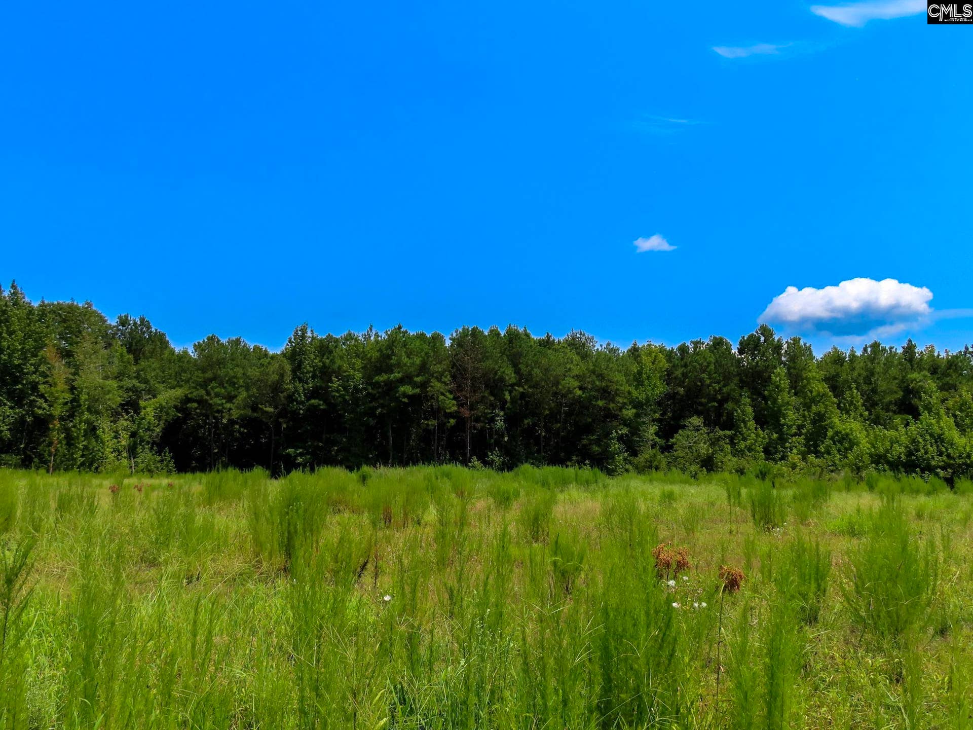 231 Ault Road, Hopkins, SC 29061