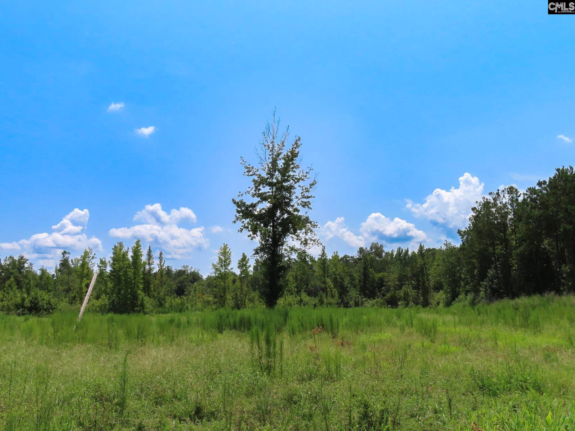 231 Ault Road, Hopkins, SC 29061