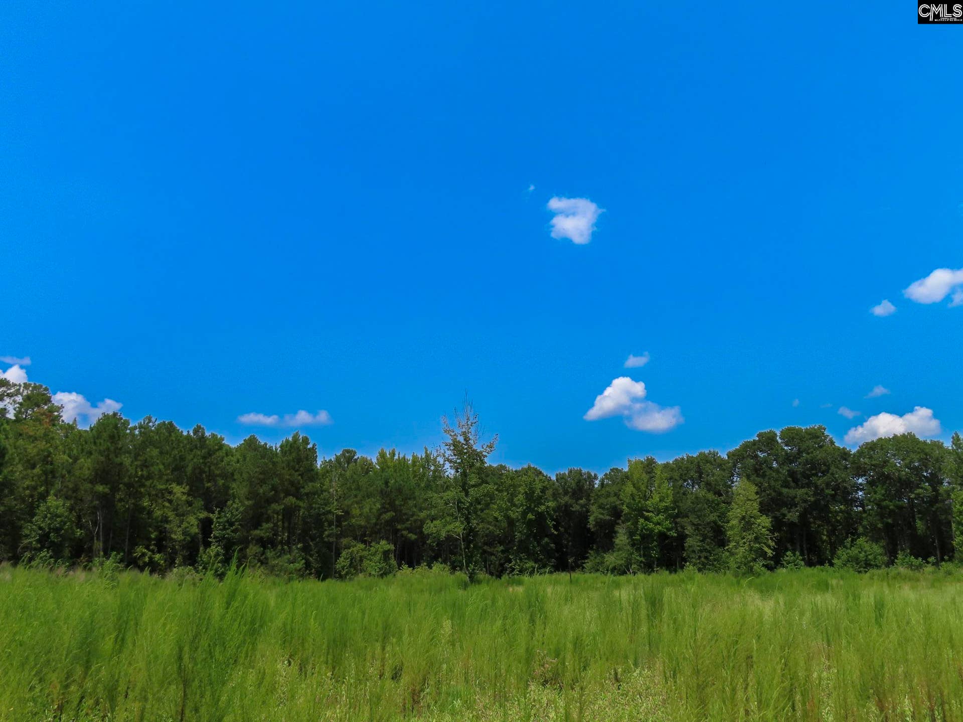 231 Ault Road, Hopkins, SC 29061