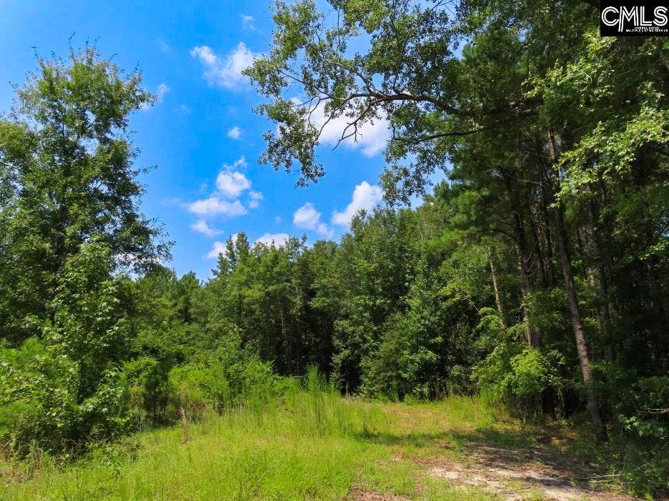 231 Ault Road, Hopkins, SC 29061