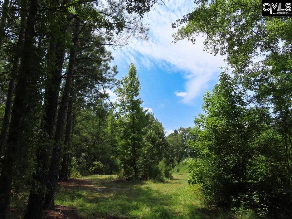 231 Ault Road, Hopkins, SC 29061