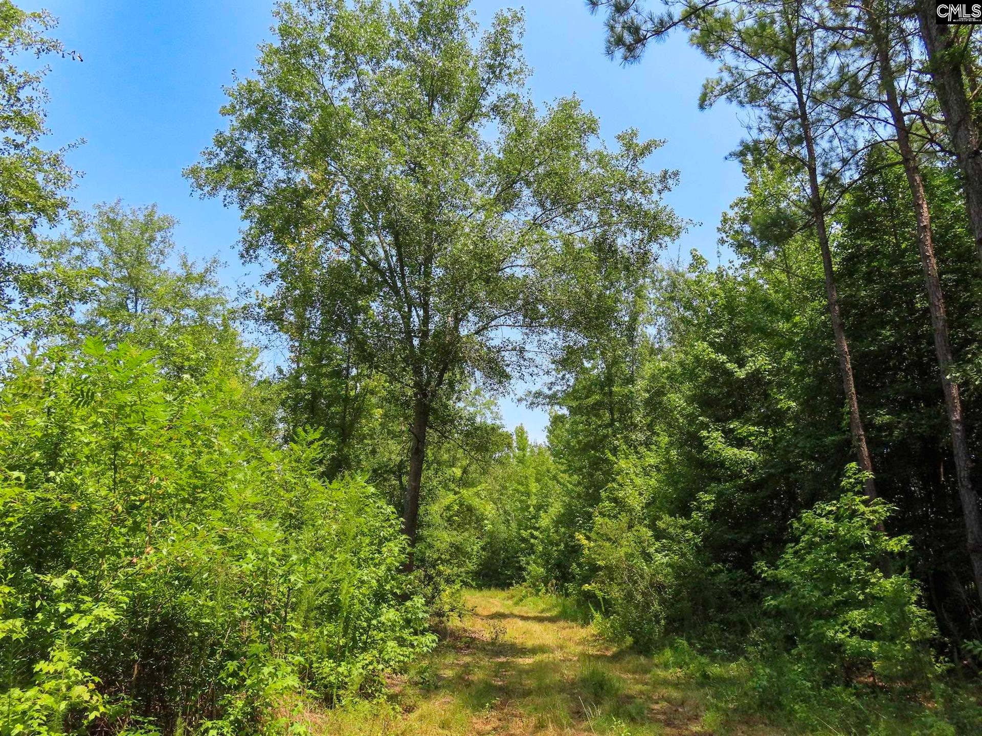 231 Ault Road, Hopkins, SC 29061