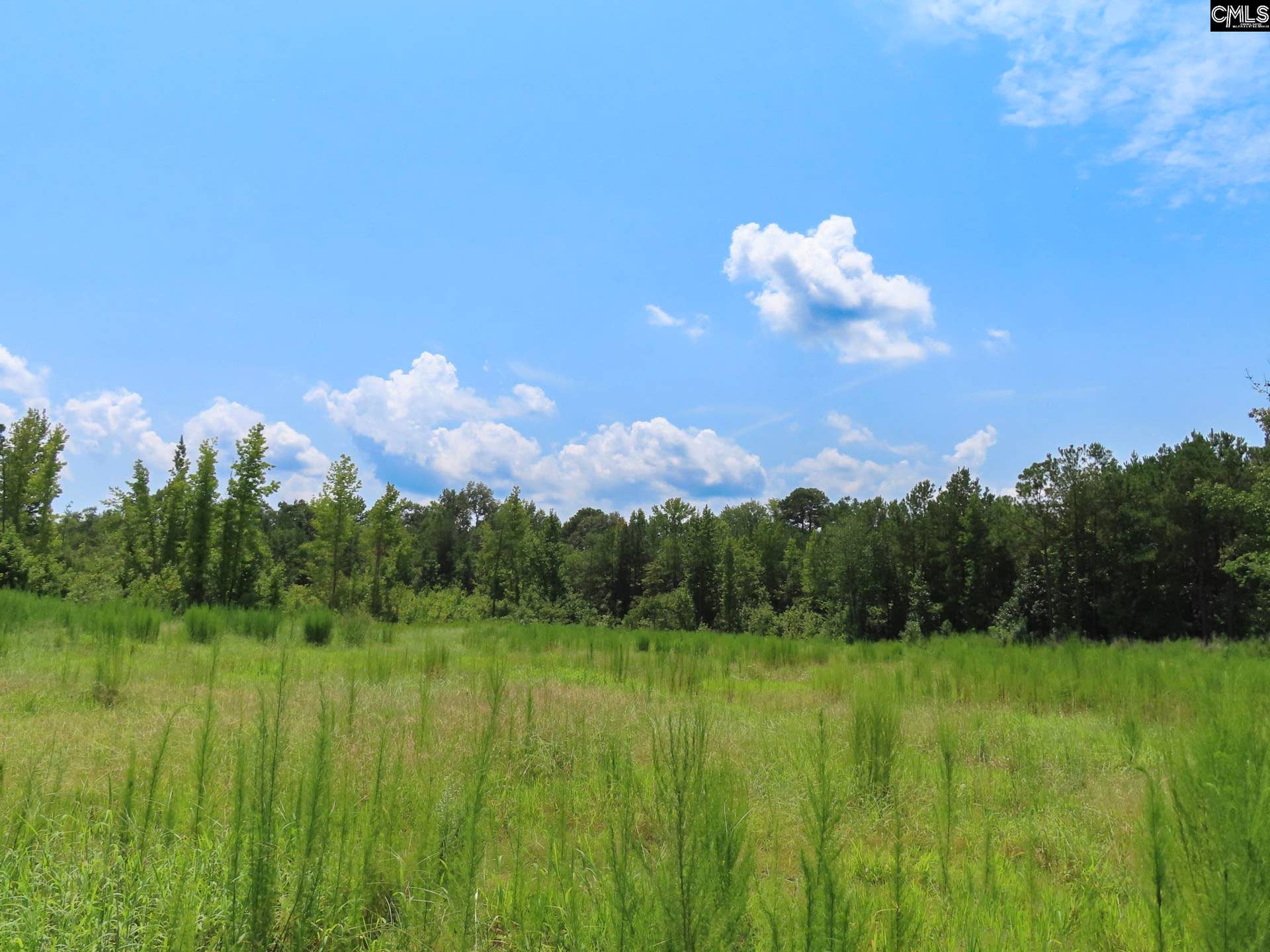 231 Ault Road, Hopkins, SC 29061