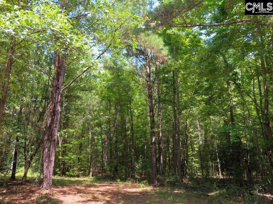 231 Ault Road, Hopkins, SC 29061