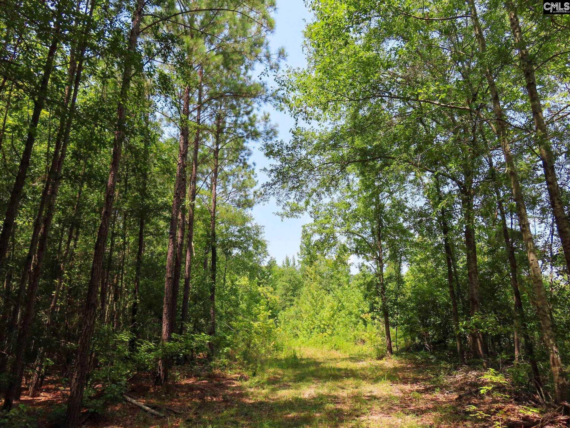231 Ault Road, Hopkins, SC 29061